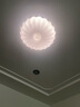 鴻雁【奧萊新品】智能燈app全光譜圓形綻放創(chuàng  )意客廳臥室現代簡(jiǎn)約燈具 曬單實(shí)拍圖