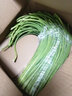 京喜自營(yíng)新鮮蒜苔現(xiàn)采現(xiàn)發(fā)生鮮蔬菜超市同款即食蒜苔 新鮮蒜苔 2斤 曬單實(shí)拍圖