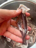 美加佳 冷凍魷魚(yú)須1斤*2袋 火鍋燒烤食材 鐵板魷魚(yú) 燒烤食材 海鮮水產(chǎn) 曬單實(shí)拍圖