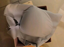 ubras無尺碼加大版背心式文胸?zé)o痕無鋼圈女士內(nèi)衣女無痕胸罩蘭花煙 曬單實(shí)拍圖