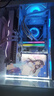 AMDR7 9700X/RX9070XT花嫁臺式電腦主機無(wú)顯卡主機白色海景房電競9800X3D游戲組裝電腦DIY整機AiPC 配置七丨R7 9800X3D/RX 9070XT 曬單實(shí)拍圖