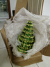 聽(tīng)雪樓節節高富貴竹塔水培室內植物盆栽竹子轉運開(kāi)運竹發(fā)財富貴竹寶塔竹  8層竹塔+富春山水盆+燈籠 曬單實(shí)拍圖