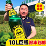 德倫堡啤酒10L超大桶  網(wǎng)紅啤酒德倫堡10升巨瓶8度原漿精釀啤酒1.5L 大桶啤酒 10L 1桶 單瓶裝 曬單實(shí)拍圖