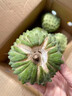 優(yōu)味集【JD順豐速發(fā)】大目釋迦果新鮮水果廣東番荔枝佛頭果時(shí)令鮮果 1.5斤凈重裝（商超精選）約3-5個(gè) 曬單實(shí)拍圖