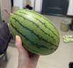 京鮮生 手剝小西瓜 1粒裝 凈重2-3斤 單果2-3斤 生鮮水果 曬單實(shí)拍圖