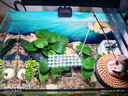 尼奧光 NEO-HELIOS魚(yú)缸燈水草燈LED燈S3proRGB植物光譜 13W新款尼奧S3pro+【高亮自然版雙倍亮度】 曬單實(shí)拍圖