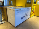 雪花（SNOWFLK）冰柜商用家用冷柜臥式大容量全冷凍柜展示柜 【598數(shù)顯】單溫擴(kuò)容款|一級節(jié)能 空柜溫度可達(dá)-30度丨銅管速冷低耗 曬單實拍圖