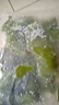 大連 鮮海帶 鹽漬裙帶菜梗  鹽漬海白菜裙帶菜蝦皮湯火鍋食材 鹽漬裙帶菜梗250g 曬單實(shí)拍圖