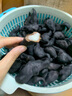 順豐洪湖菱角5斤新鮮生棱角粉糯老菱角湖北農(nóng)家特產(chǎn)黑凌角蔬菜 1斤裝【新鮮現(xiàn)摘現(xiàn)發(fā)】 曬單實(shí)拍圖