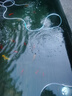 海甲衛 HAKAWIN魚(yú)缸增氧泵充電式 家用魚(yú)缸氧氣泵大氣量 戶(hù)外釣魚(yú)氧泵 AT661 曬單實(shí)拍圖