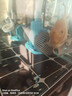 創(chuàng  )寧魚(yú)缸循環(huán)變頻水泵 水族周轉箱抽水  水陸兩用魚(yú)池假山潛過(guò)濾 13W【周轉箱、底濾可用】流量1000-2000L 曬單實(shí)拍圖