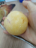 京鮮生 云南石林人參果 凈重3斤 單果50g+  生鮮水果源頭直發(fā)包郵 曬單實拍圖