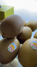 佳沛（zespri）新西蘭  陽光金奇異果10粒禮盒巨大果單果約144-175g 水果 獼猴桃 曬單實拍圖