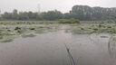 沃鼎釣魚(yú)傘遮陽(yáng)傘新款機械臂加固加厚拐杖傘露營(yíng)戶(hù)外沙灘傘防雨臺釣傘 曬單實(shí)拍圖