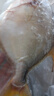 環(huán)球水產(chǎn)冷凍南海金鯧魚(yú)2斤/2條 生鮮魚(yú)類(lèi) 火鍋 深海魚(yú) 海鮮水產(chǎn) 家庭聚餐 曬單實(shí)拍圖