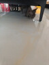 MIAOERD純種布偶緬因德文英短金漸層藍白幼貓紫金漸層藍金矮腳美短拿破侖 寵物級 德文貓 曬單實(shí)拍圖
