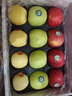 洛川蘋(píng)果陜西延安25年新品種蘋(píng)果水果禮盒送禮生鮮水果 三色果混裝 12個(gè)大果 尊享禮盒裝 曬單實(shí)拍圖