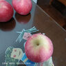 京鮮生 陜西洛川蘋(píng)果紅富士12粒 單果180-220g 生鮮水果 曬單實(shí)拍圖