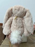 Jellycat致臻害羞羅莎維洛邦尼兔動(dòng)物毛絨玩偶安撫生日新婚禮物 害羞維洛邦尼兔 H31 X W12 CM 曬單實(shí)拍圖