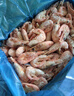 美加佳熟凍北極甜蝦腹籽凈重3斤 90/120規格  海鮮水產(chǎn) 熟凍甜蝦 曬單實(shí)拍圖