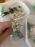 永生花戒指diy材料包森系婚禮高級手工禮物漢服配飾情侶對戒指環(huán) 月光凝瓣-對戒2枚 DIY材料包+盒 均碼 曬單實(shí)拍圖