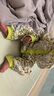 babycare純棉長(cháng)袖中開(kāi)爬服滿(mǎn)月新生兒連體衣2024秋裝哈衣 哈特青蔥綠 【僅爬服】 90cm 曬單實(shí)拍圖