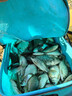 佳釣尼魚(yú)護速干魚(yú)護網(wǎng)黑坑加厚涂膠魚(yú)護包魚(yú)網(wǎng)兜袋漁護漁網(wǎng)兜 曬單實(shí)拍圖