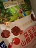 爺爺的農場(chǎng) 益生元山楂棒寶寶兒童零食0添加 兒童零食3歲-6歲出行便攜72g   曬單實(shí)拍圖