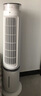 艾美特（AIRMATE）【百萬(wàn)負(fù)離子】燈塔冷風(fēng)扇空調(diào)扇家用語(yǔ)音智能水冷塔扇柔風(fēng)制冷電風(fēng)扇落地扇加濕定時(shí)小空調(diào) SRI39 曬單實(shí)拍圖