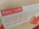 京鮮生臨安天目山小香薯 5斤  約30-50g單果 香甜軟糯皮薄無(wú)筋 源頭直發(fā) 曬單實(shí)拍圖