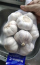 大蒜頭出口品質(zhì)網(wǎng)兜紫蒜蔬菜調(diào)料新鮮大果燒烤火鍋食材 【精品網(wǎng)兜裝】6頭裝 0.46g 曬單實(shí)拍圖