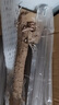 京地達(dá)焦作溫縣壚土鐵棍山藥5斤 精選55-60cm 懷山藥蔬菜源頭直發(fā)包郵 曬單實(shí)拍圖