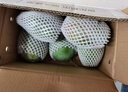 京鮮生 攀枝花凱特芒果 凈重4.5斤 單果300g+ 生鮮水果源頭直發(fā) 曬單實(shí)拍圖