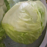綠食者  球生菜5斤 西生菜圓生菜 漢堡用西餐沙拉色拉食材 健康輕食蔬菜 5斤 曬單實拍圖