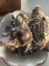 葷八廚 內(nèi)蒙古牛脊骨2斤凈重 新鮮黃牛肉生鮮牛骨頭帶肉蝎子脖火鍋食材 曬單實拍圖