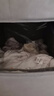 貝瑞加（Babyprints）新生兒連體衣2件裝嬰兒純棉內(nèi)衣薄款四季爬服柔軟寶寶哈衣 藍(lán)52 曬單實(shí)拍圖