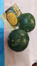 正宗貝貝南瓜板栗味小南瓜嬰兒寶寶孕婦粉糯香甜輔食新鮮蔬菜生鮮 單果重150-250g帶箱 2斤 曬單實(shí)拍圖