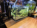 AMTRA TECHNIK德國安彩EX250魚缸過濾器凈水循環(huán)迷你壁掛式過濾桶 EX250標準版【內(nèi)含濾材】 曬單實拍圖
