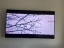 TCL電視 65T7L 65英寸 QD-Mini LED 華星高階HVA屏 萬象分區(qū) 絢彩XDR 2200nits 超薄 國(guó)家補(bǔ)貼20% 65英寸 曬單實(shí)拍圖