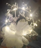 OEIN手工diy制作小夜燈少女心風(fēng)鈴飾品吊飾網(wǎng)紅桌面生日禮物送女生 蝴蝶花燈材料包【掛鉤款】 曬單實拍圖
