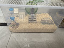 倉鼠籠子超大號60基礎籠加高豪華別墅金絲熊花枝鼠專(zhuān)用老鼠飼養箱 65CM超大號【跑輪等基礎10件套】 曬單實(shí)拍圖