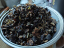 小熊（Bear）煎藥壺 中藥壺 中藥鍋 熬藥電砂鍋 養(yǎng)生壺中藥煲5升大容量分體式陶瓷全自動(dòng)智能家用 JYH-H50U1 曬單實(shí)拍圖