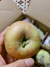 良田石山正宗沙瓤西紅柿現摘新鮮沙瓤水果生吃西紅柿沙漠特產(chǎn)自然熟 精選 5斤 超值裝 凈重約為4斤+ 曬單實(shí)拍圖