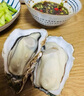 貝司令 鮮活乳山生態(tài)生蠔2XL 凈重4斤 13-17只 生鮮源頭直發(fā) 七夕聚餐  曬單實(shí)拍圖