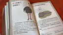 遺憾的進化（幽默講解動物進化中的無奈，平裝科普讀物）（愛心樹童書） 曬單實拍圖