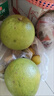 泰國青柚進(jìn)口柚子新鮮水果沙田白糖蜜柚當季整箱批發(fā)2/4個(gè)裝 正宗-泰國青柚1個(gè)裝 特惠裝(單果1.2斤-1.5斤) 曬單實(shí)拍圖