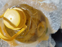 芙斯麗（bkychblexnonombl） 【俄羅斯國家館】原裝進(jìn)口大豆油5升 食用油5L油 5升X2桶 曬單實(shí)拍圖