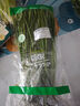 【產地直采】綠色韭菜250g 曬單實拍圖