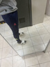 卡爾美（KELME）運動(dòng)褲男春秋新款足球收腿褲透氣修身彈力訓練長(cháng)褲 深藍淺黃 L 曬單實(shí)拍圖