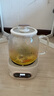 美的（Midea）花漾0膠水全玻璃全自動養(yǎng)生壺 辦公室多功能煮茶壺 燒水壺恒溫電熱水壺煮茶器花茶壺1L YS10B101 曬單實拍圖